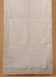 Lucknowi Embroidered Dupatta In White Color